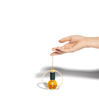 Thumbnail of Collection Box