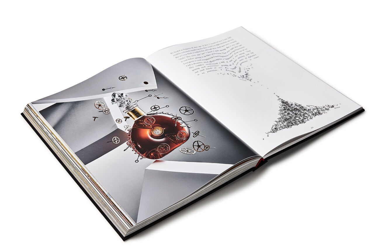 louis xiii book