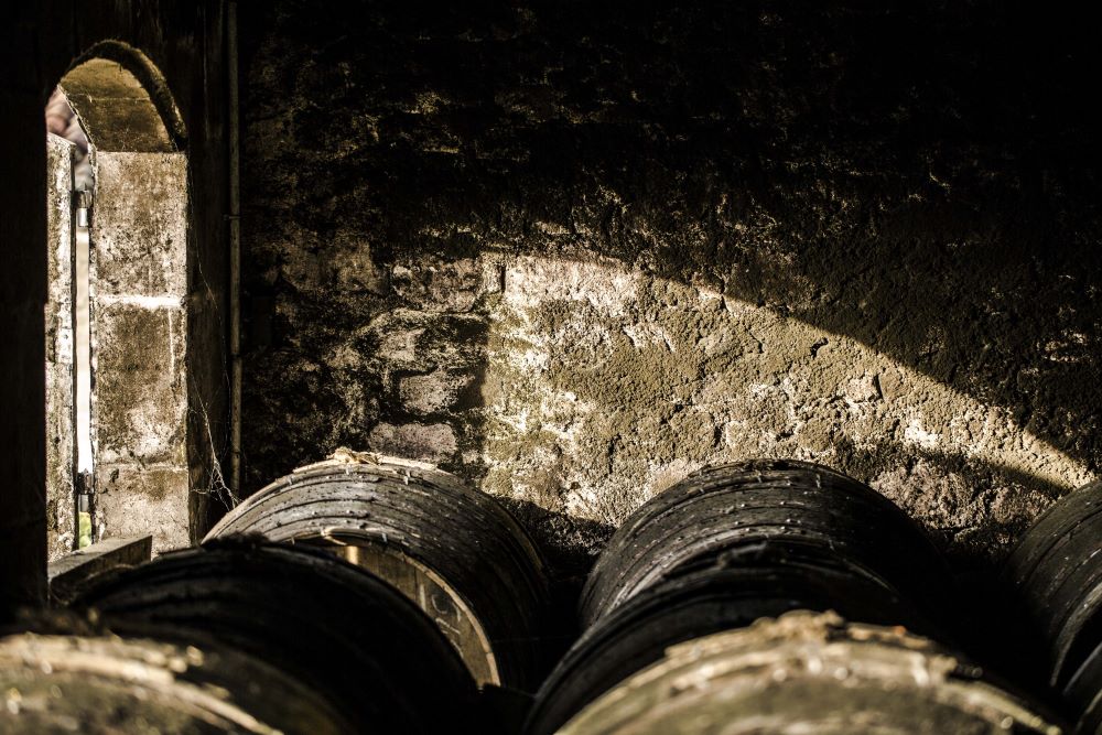 A photo of old barrels in the cellar